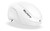 WHITE MATTE ASTM L (59-61)