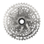 Cassette 12V SRAM APEX D1 XPLR PG-1231 11/44