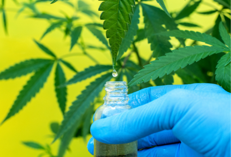 What is Live Resin? What is Live Resin?