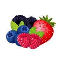 fruit