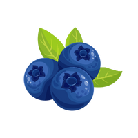 fruit