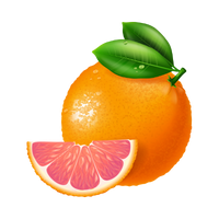Fruit 1