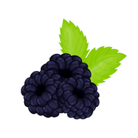 fruit