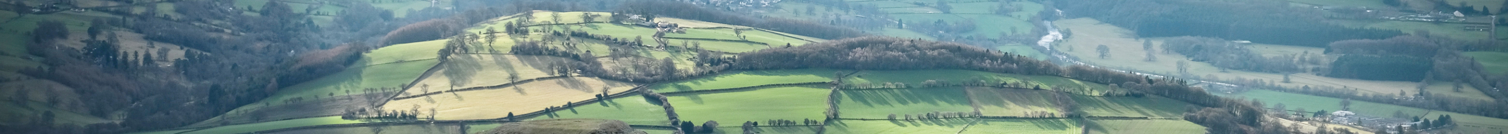 beautiful-bright-green-patchwork-for-long-thin-category-banner-final.jpg