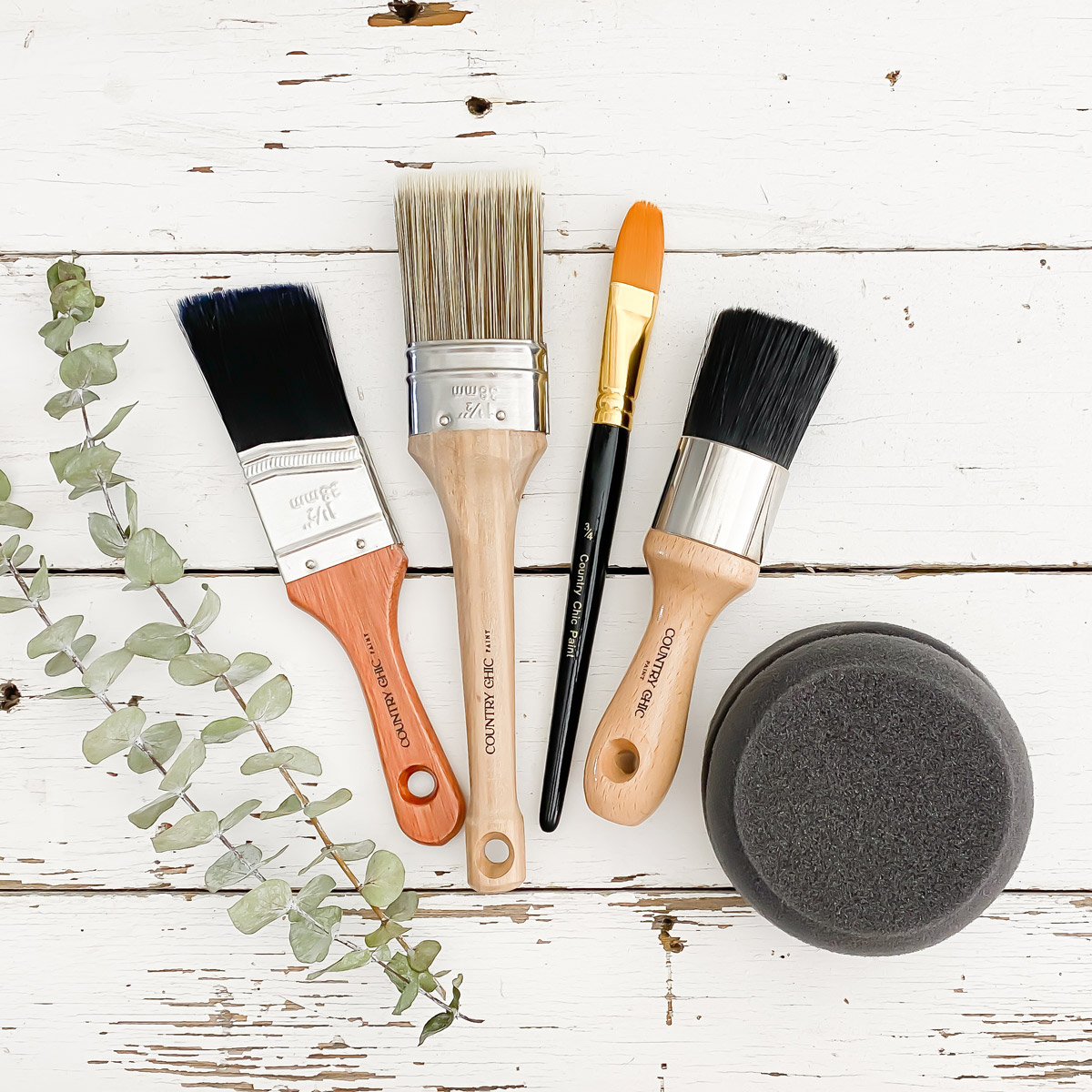 Leather Bound - Country Chic Paint