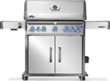 Rogue 665 RSIB grill