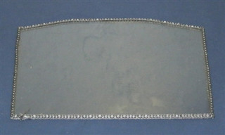 Door Glass with Gasket (W010-1071)
