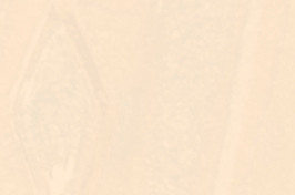 Serefina Touch Up Paint - Ivory White (55M63)