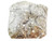 Grand Oak Mineral Wool (SRVACC12) Image 0 Grand Oak Mineral Wool (SRVACC12) Image 0