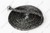 Gasket, Glass 1/4 x 60" - Black
