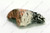 Log, Cover - 564 Birch