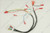 Wire Harness, SIT GS