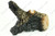 Log, Middle Right LS36/79 [5]