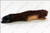 Log, Left Top - LS40 [2]