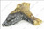 Log, Front Right LS55[5]