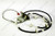 Wire Harness, Accent Lights 564DF