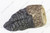 Log, Front Right - LS68 [5]