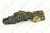 Log, Middle Front - LS71[9]