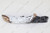 Log, Left Twig[Upper] - LS82[7]