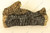 Log, Rear - LS92 [1]