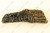 Log, Top Right - LS92 [4]