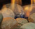 river rock media
