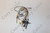 pilot assembly pilot assembly