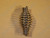 EFW Door Spring Handle - Nickel
