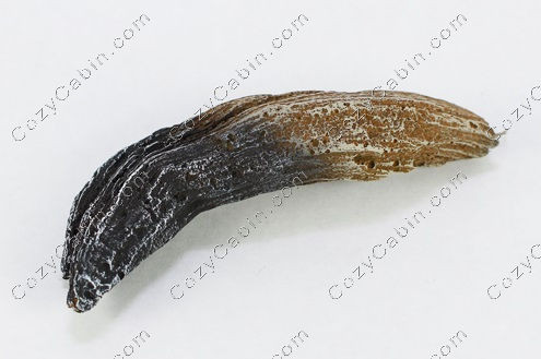 Log, Front Right LS63[8]