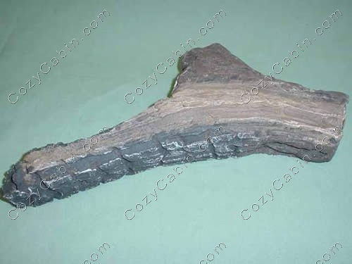 Log, Right Twig[2] - LS10