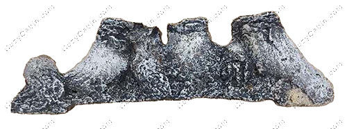 Log #1 - 42Cf DLX Bonfyre