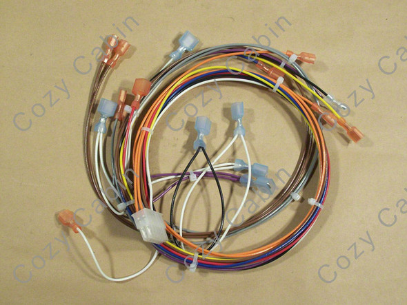 EF5 /Empress FS Circuit Board Wire Harness