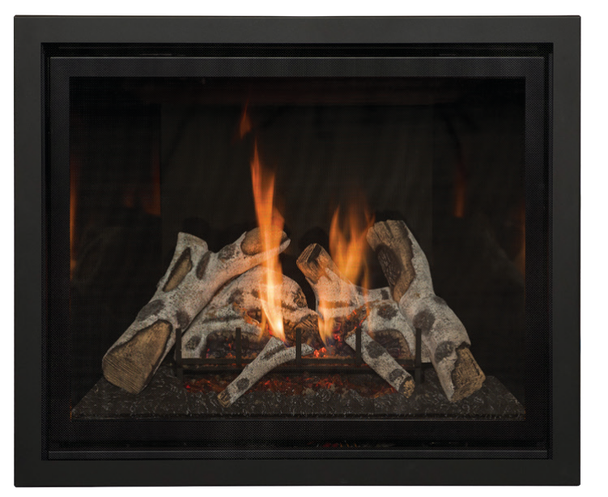 fireplace with Black Rectangular Front & Birch Logs