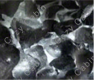 iced fog glass media