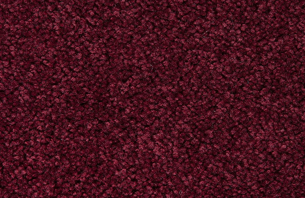 blowup view of rug