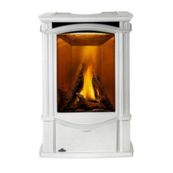 Winter Frost Castlemore gas stove