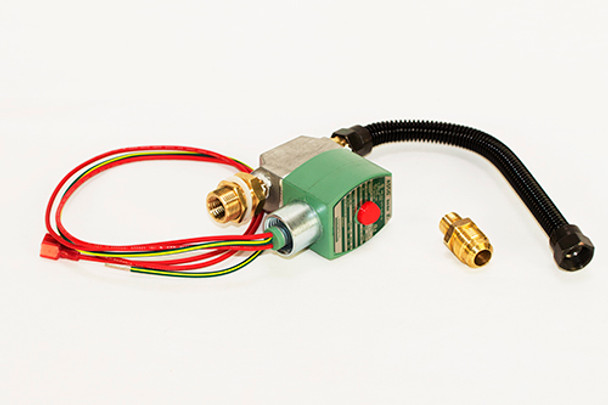 Gas Valve Assembly, Tempest ELEC NG/LP