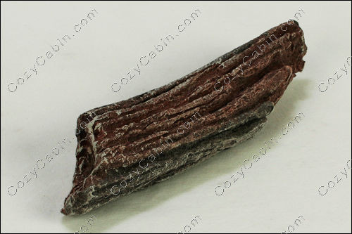 Log, FrontRight, LS49[5]