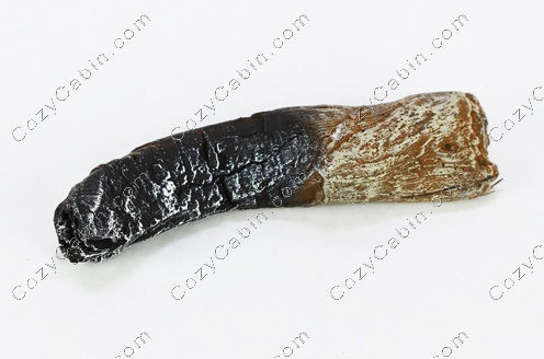Log, Center Left LS63[4]