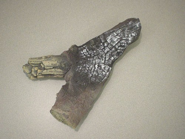Log, Rear Top [Right]- LS16