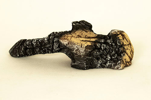 Log, Front Left - LS82 [2]