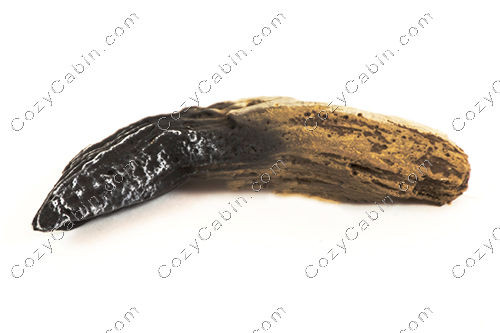 Log, Middle Left - LS94 [3]