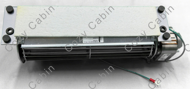 bottom of fan
