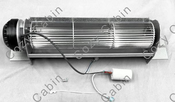 fan B