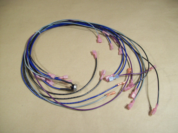 EG95 & EG40 FPI Burner Wiring Harness  (50-519) Image 0