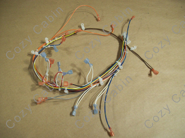 M55C-FPI Wiring Harness