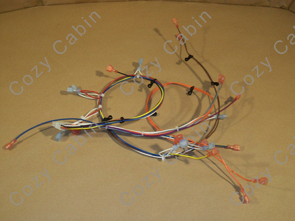 M55C-FS Wire Harness