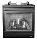 gas fireplace