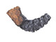Right Stick Log for GD82 Park Avenue Gas Stoves (W135-0274) Image 0