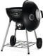 charcoal grill with lid on side